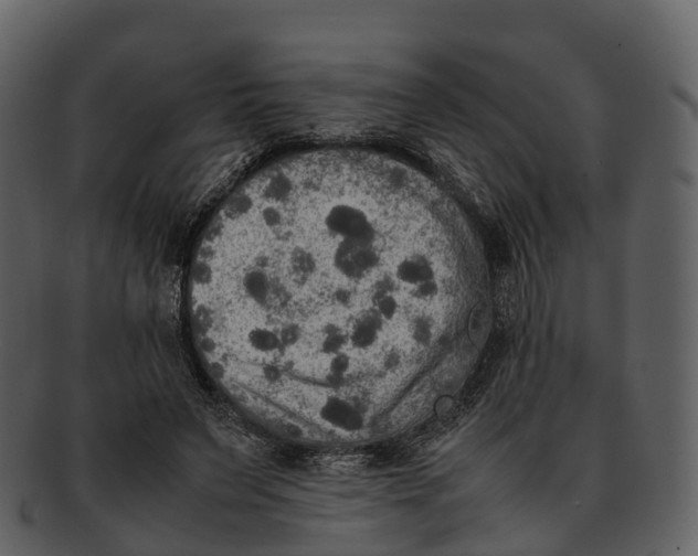 X0000092330495200710051317