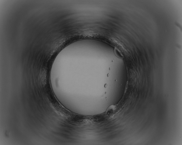 X0000092330496200710051317