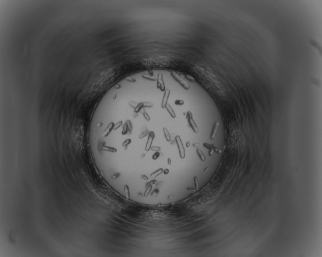 X0000092330498200710051317