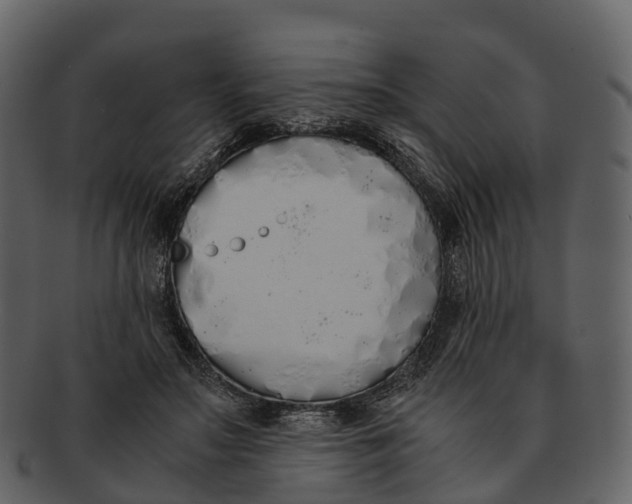 X0000092330499200710051317