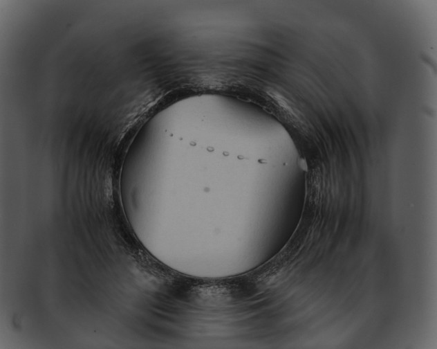 X0000092330500200710051317