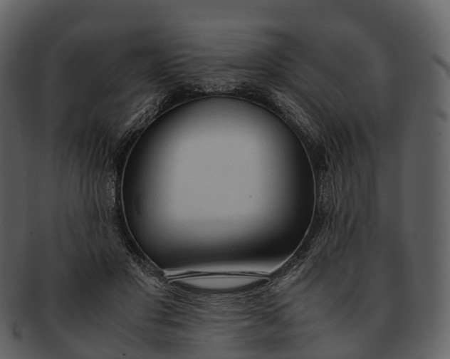 X0000092330501200710051317