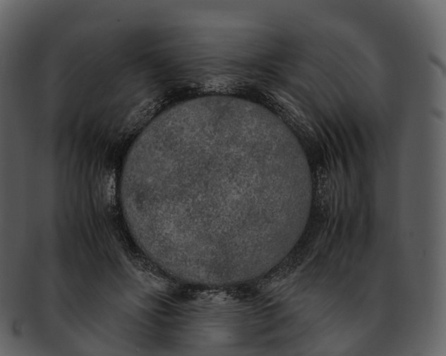 X0000092330502200710051317