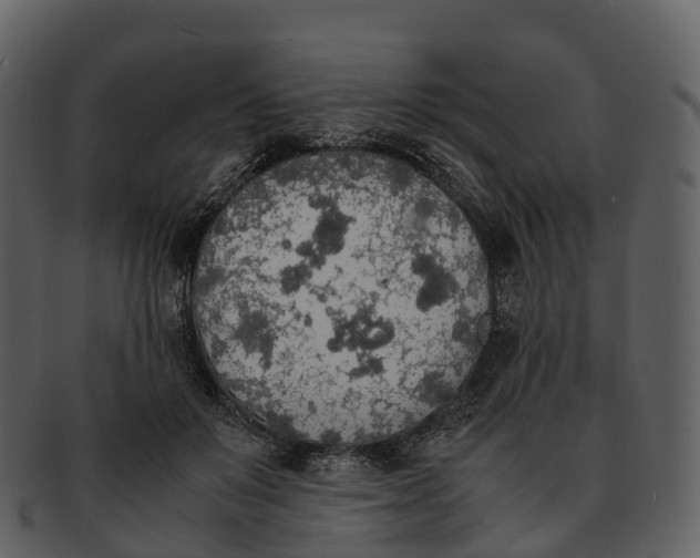 X0000092330503200710051317