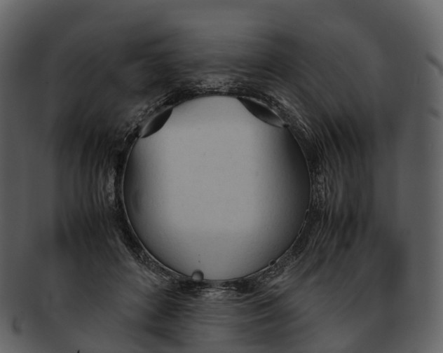 X0000092330504200710051317