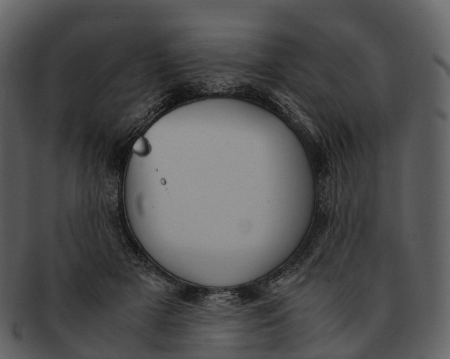 X0000092330505200710051317