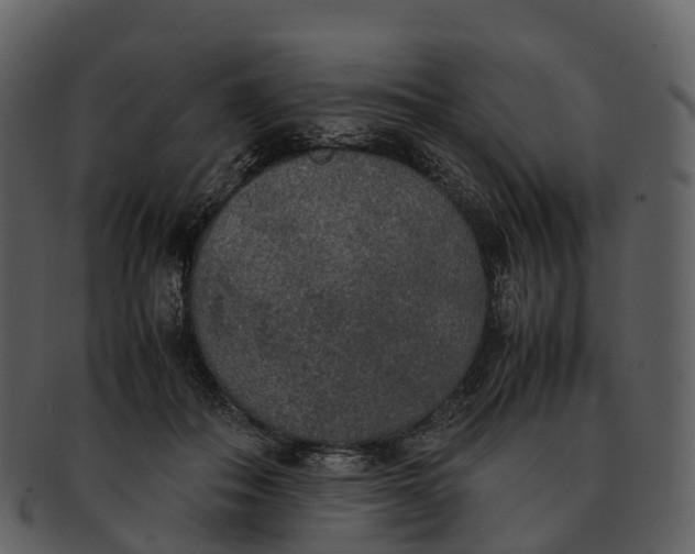 X0000092330506200710051317