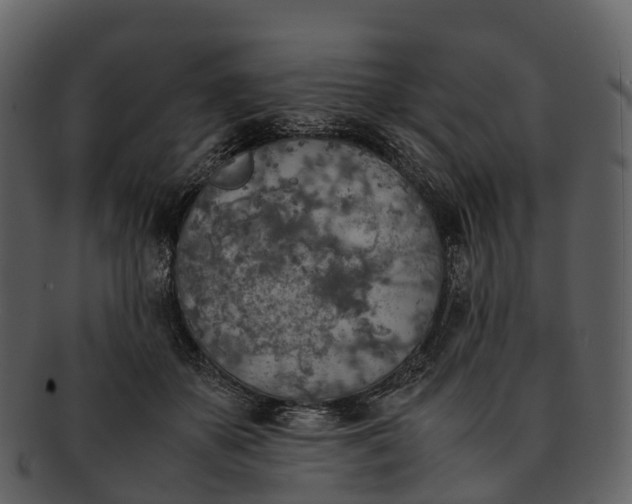 X0000092330507200710051317