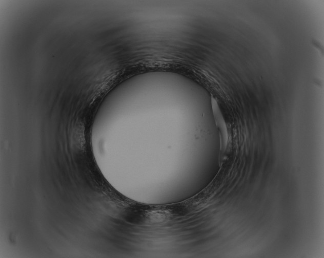 X0000092330508200710051317