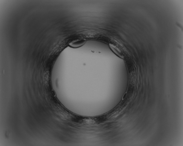X0000092330509200710051317