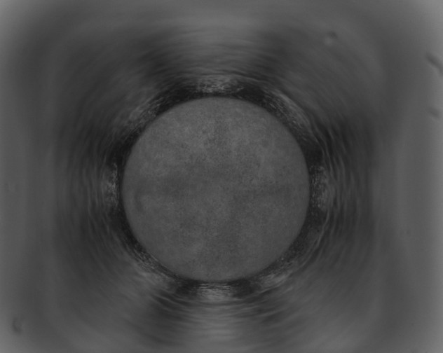 X0000092330510200710051317
