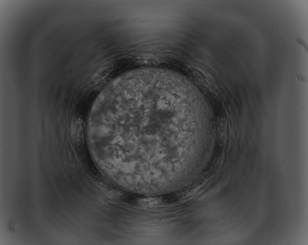 X0000092330511200710051317