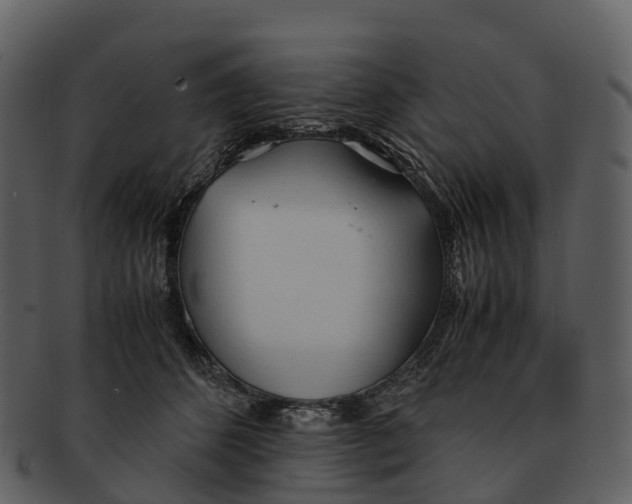 X0000092330512200710051317