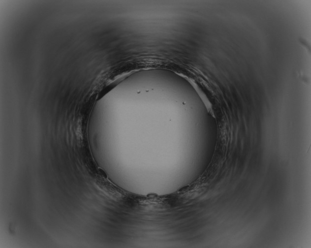 X0000092330516200710051317