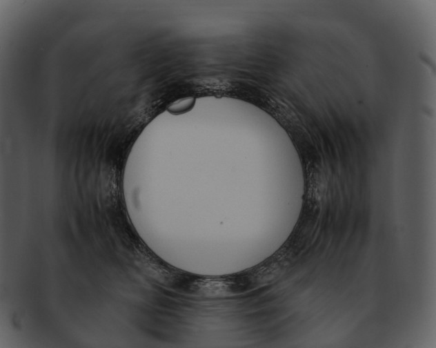 X0000092330518200710051317