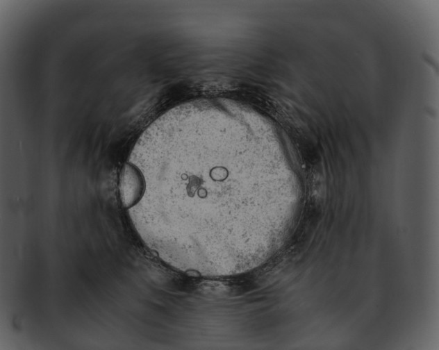 X0000092330519200710051317