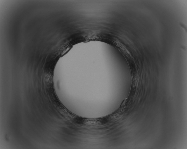 X0000092330521200710051317