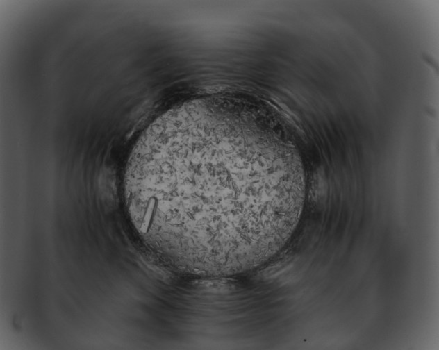 X0000092330524200710051317