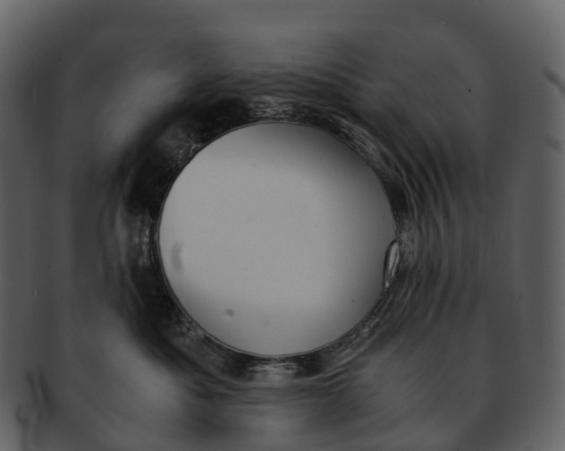 X0000092330525200710051317