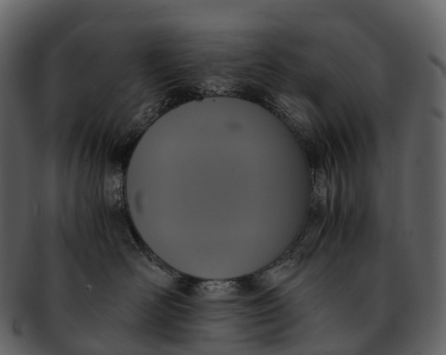 X0000092330526200710051317