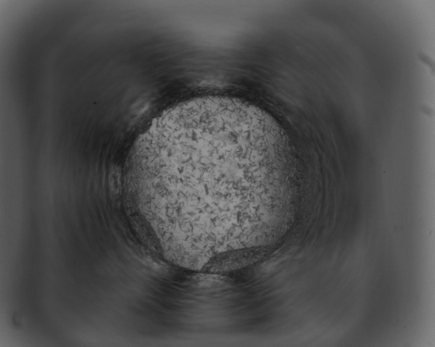X0000092330528200710051317