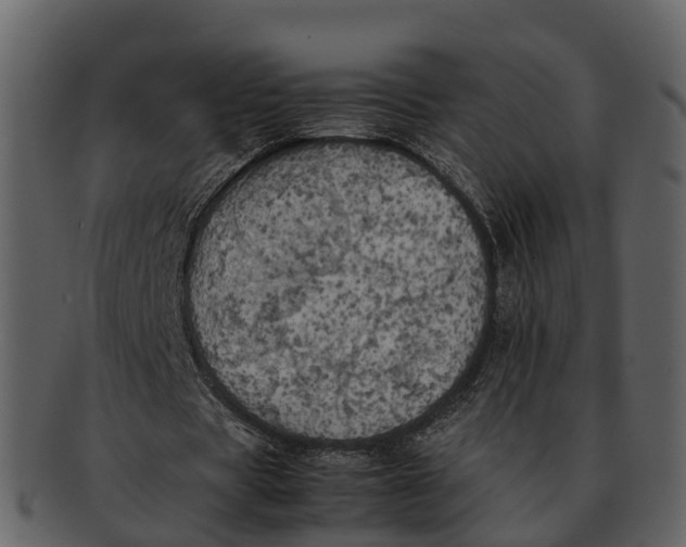 X0000092330529200710051316