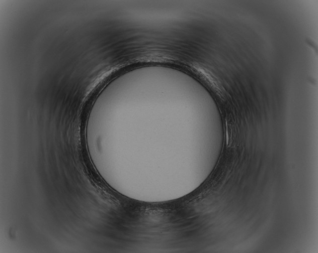 X0000092330531200710051316