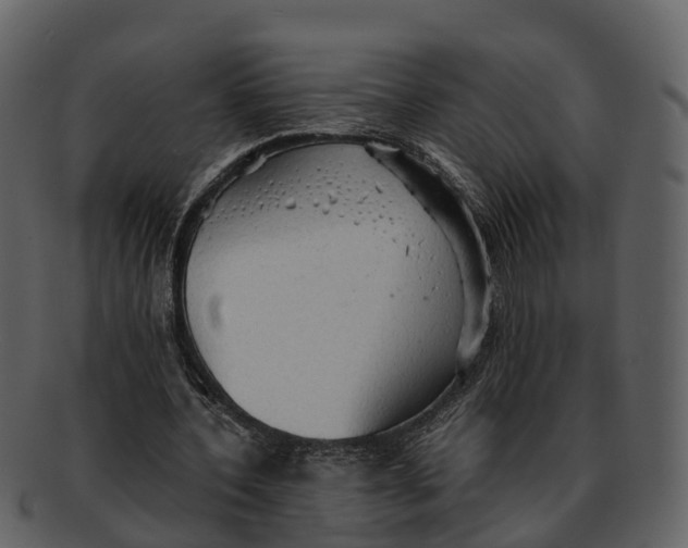 X0000092330532200710051316