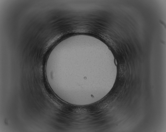 X0000092330535200710051316