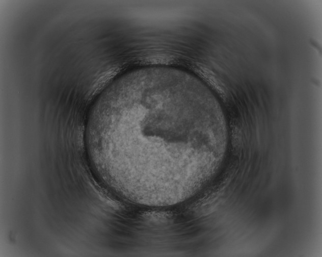 X0000092330537200710051316
