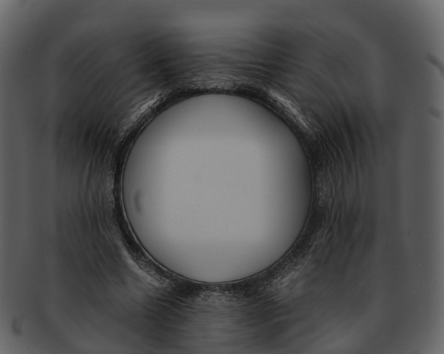 X0000092330538200710051316