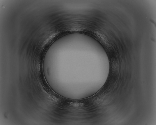 X0000092330539200710051316