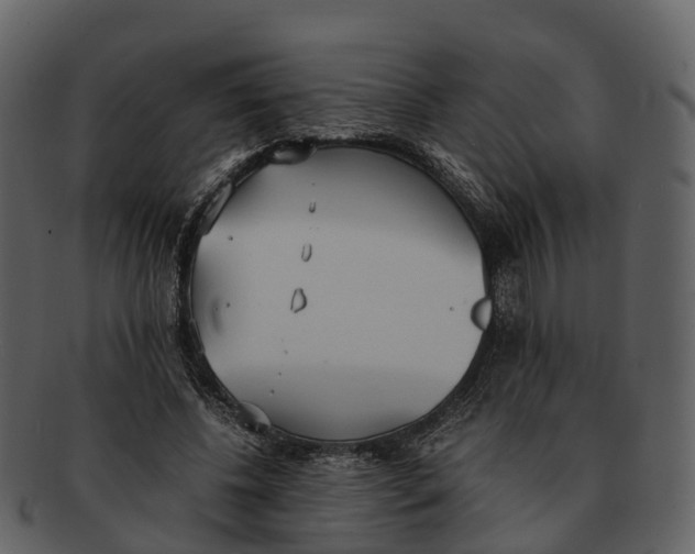 X0000092330540200710051316