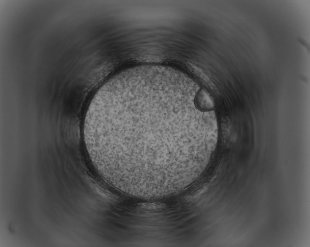 X0000092330541200710051316