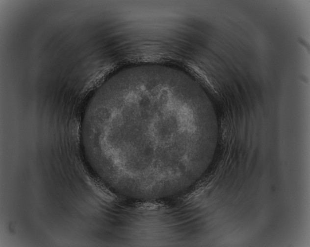 X0000092330542200710051316