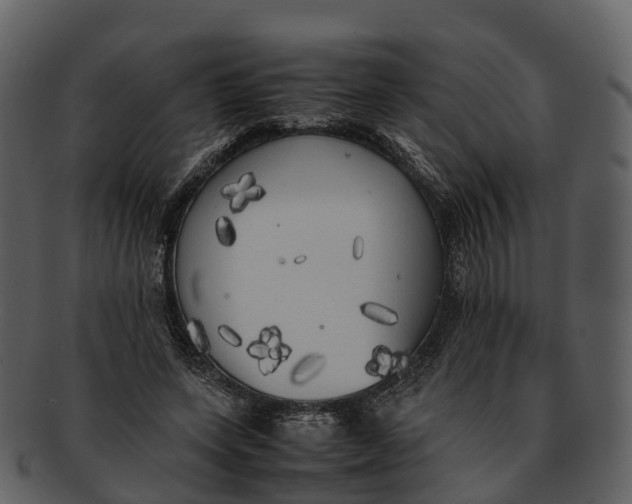 X0000092330543200710051316