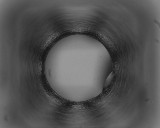 X0000092330544200710051316