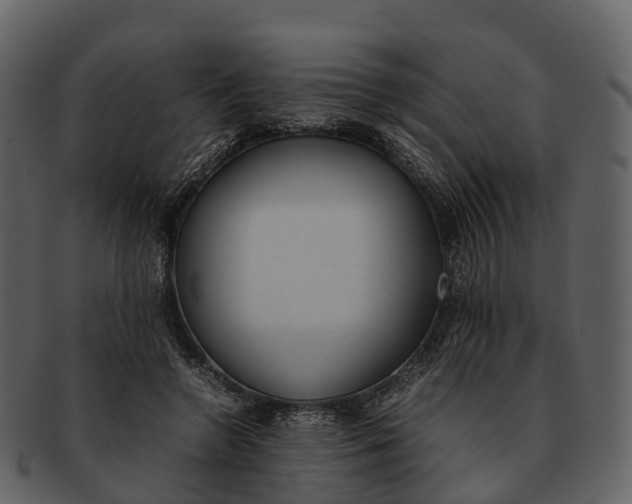 X0000092330546200710051317