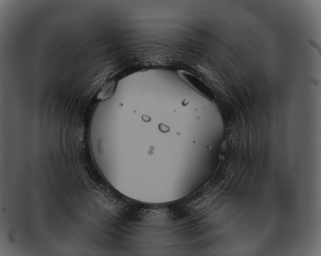 X0000092330548200710051317
