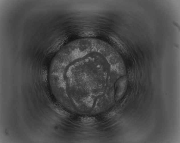 X0000092330549200710051317