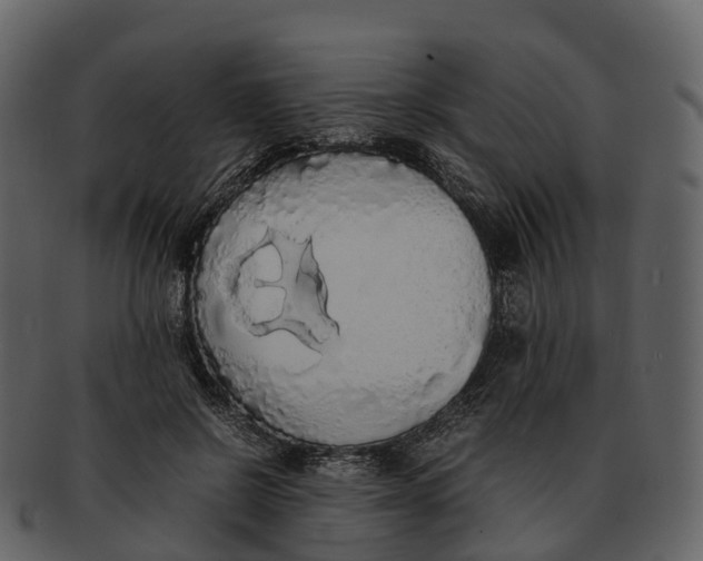 X0000092330550200710051317