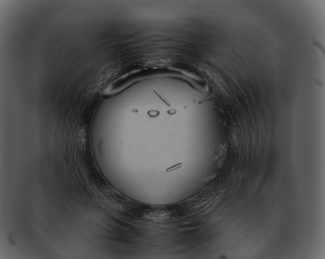 X0000092330551200710051317