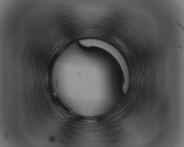 X0000092330552200710051317