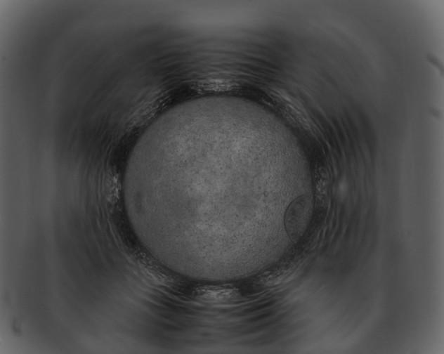 X0000092330555200710051317