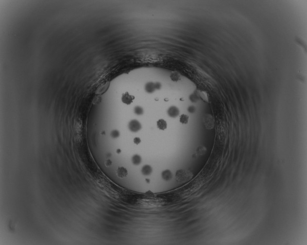 X0000092330556200710051317