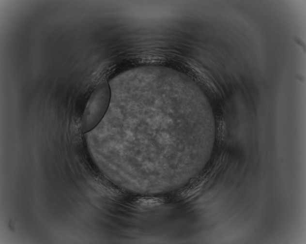 X0000092330557200710051317
