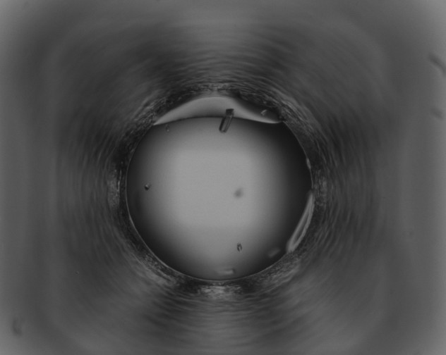 X0000092330558200710051317