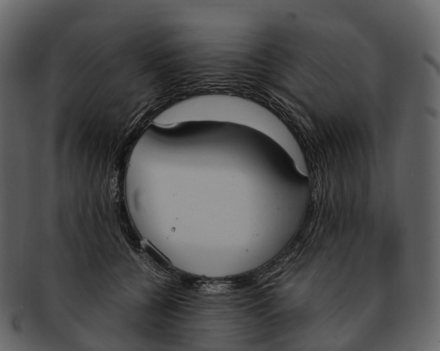 X0000092330560200710051317