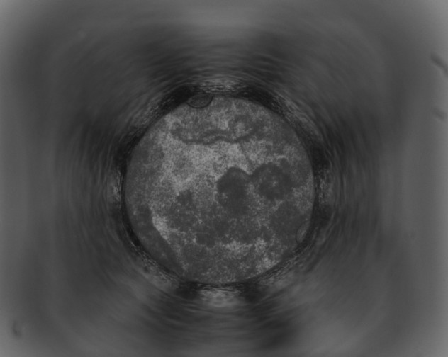 X0000092330561200710051317