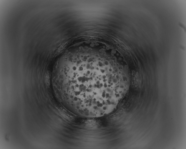 X0000092330562200710051317